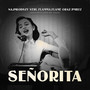 Señorita (Explicit)