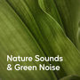 Nature Sounds & Green Noise