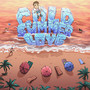 COLD SUMMER LOVE (Explicit)