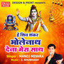 He Shiv Shankar Bhole Nath Dena Mera Saath - Single