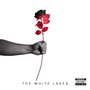 Cannot Get Enough (Explicit)