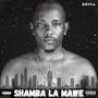 Shamba La Mawe