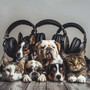 Pet Harmony: Music for Companion Calm