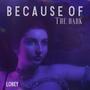 Because of the dark (feat. Saint Bikini)