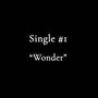 Wonder (Explicit)