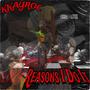 2924 Reasons (Explicit)