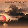 Moments of Joy