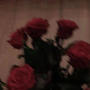 red roses (Explicit)