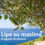 Lipe su masline