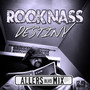 Destiny (Allers Blvd Mix)