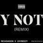 Y Not (feat. Zaybeezy) [Remix] [Explicit]