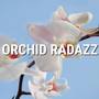 Orchid Radazz (feat. Joker Mahn)