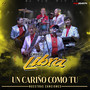 Un Cariño Como Tu