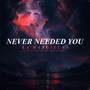 Never Needed You (Explicit)