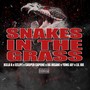 Snake in the Grass (feat. Eclipz, OG Insane, Lil Joe & Yung Jay) [Explicit]