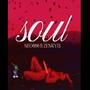 Soul (feat. Zenky 13 & CaraPálida)