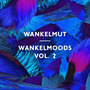 Wankelmoods Vol. 2 (Mixed by Wankelmut)