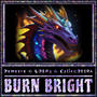 BURN BRIGHT