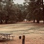 Cotton Fields