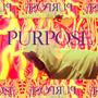 Purpose