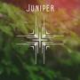 Juniper