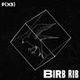 Birb Rib