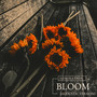Bloom (Acoustic)
