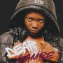 Dear Gambe (feat. Belle 9) [Explicit]
