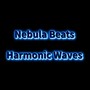 Harmonic Waves