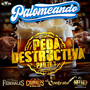 Palomeando - Peda Destructiva - Parte 1 (En Vivo)