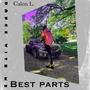 Best Parts (Explicit)