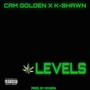 Levels (Explicit)