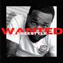 Wanted Freestyle (Explicit)