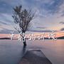 平静的环境：适合瑜伽，冥想，睡眠的疗愈大自然声音和新世纪音乐