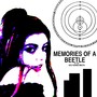 Memories of a Beetle