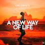 A New Way Of Life (Extended Mix)