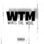 Whats the move !!? Vol.1 (Explicit)