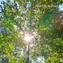 Nature Awakens