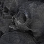 i die in my dreams (Explicit)