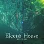 Electro House (2024)