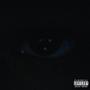 VISION P2 (Explicit)