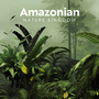 Amazonian Nature Kingdom: Forest Echoes, Wildlife Nature Relaxation