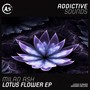 Lotus Flower