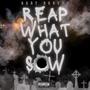 Reap What You Sow (Explicit)