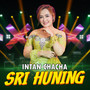 Sri Huning