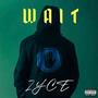 Wait (Explicit)