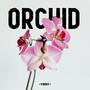 Orchid