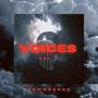 VOICES VOL 1