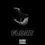 Float (Explicit)