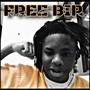 Free Bip (Explicit)